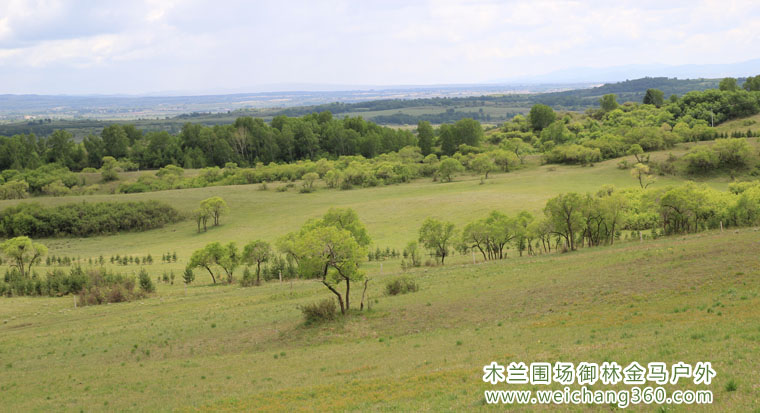 木兰围场6月13风景