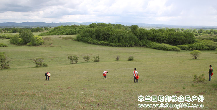 木兰围场6月13风景