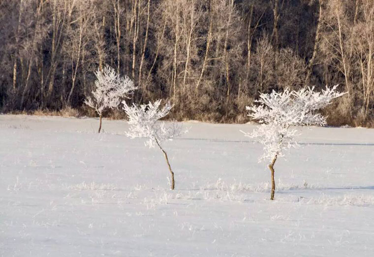 木兰围场雪景