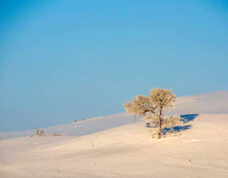 木兰围场雪景