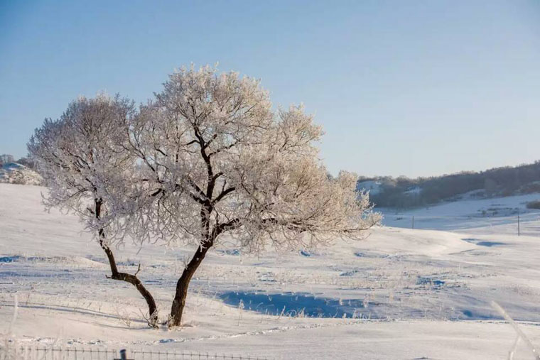 木兰围场雪景