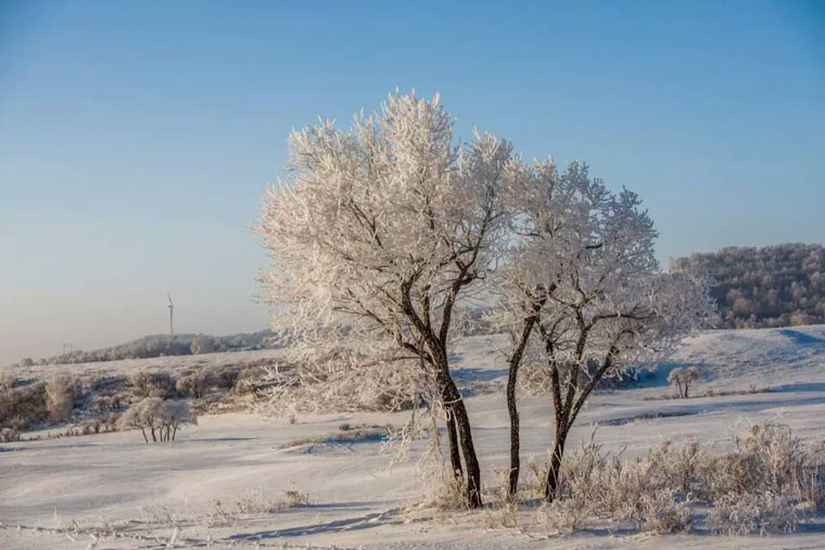 木兰围场雪景