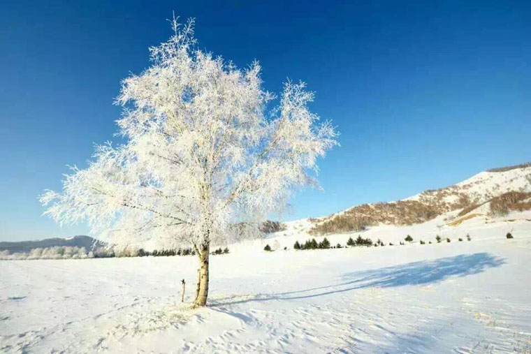 木兰围场雪景