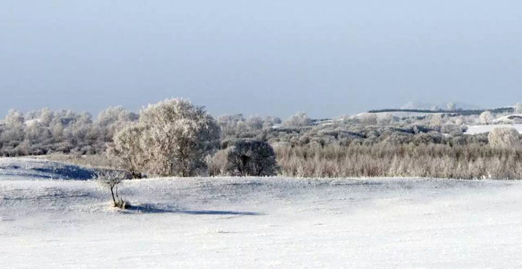 木兰围场雪景