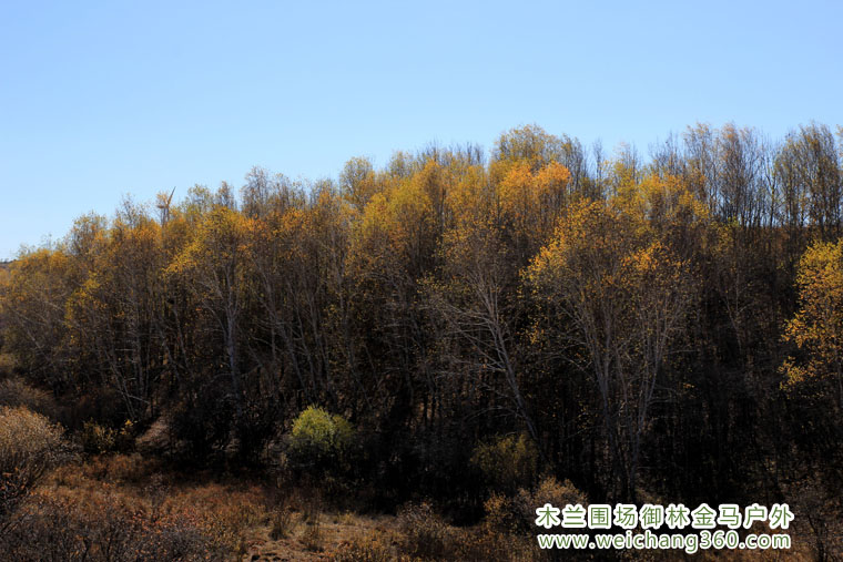 木兰围场夏令营营地