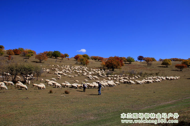 木兰围场夏令营营地