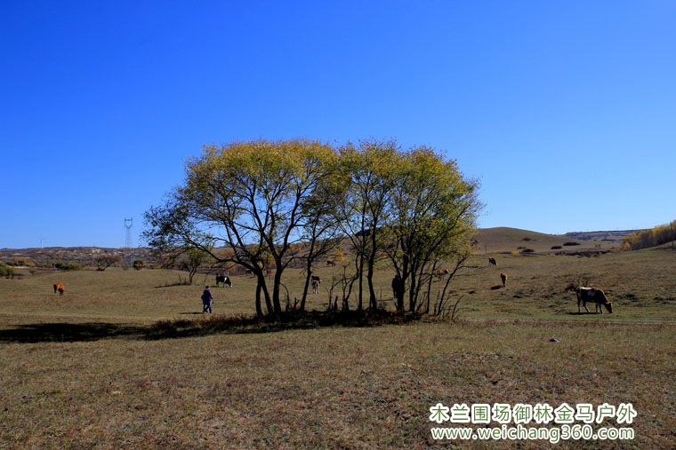 木兰围场夏令营营地