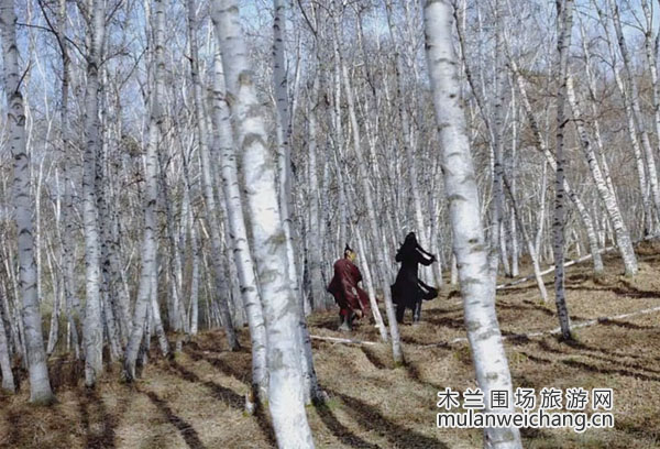 刺客聂隐娘木兰围场白桦林外景地