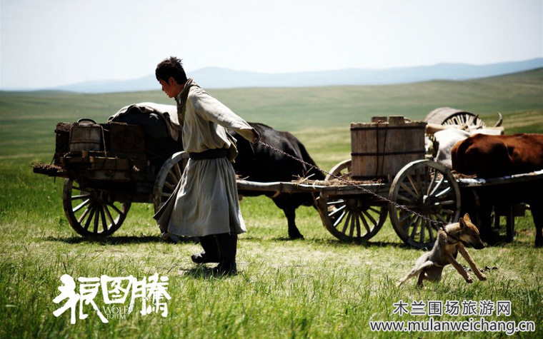 《狼图腾》草原剧照