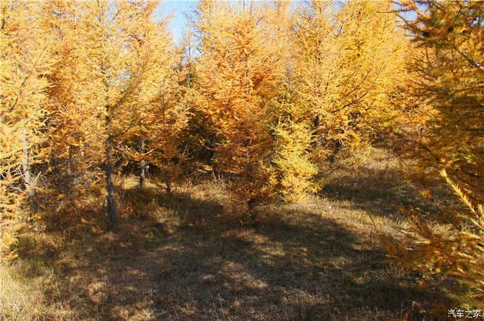 木兰围场圣达菲游记