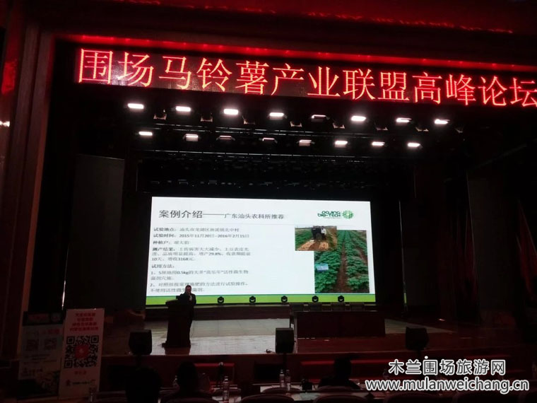 木兰围场马铃薯论坛